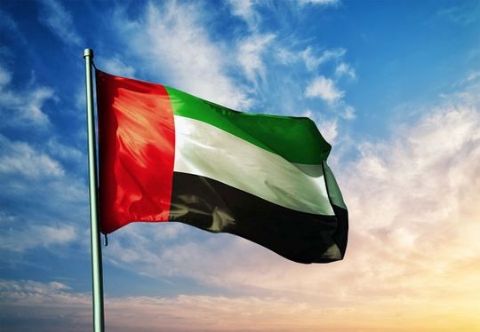 UAE, 8 Arab countries condemn targeting of civilians in Gaza