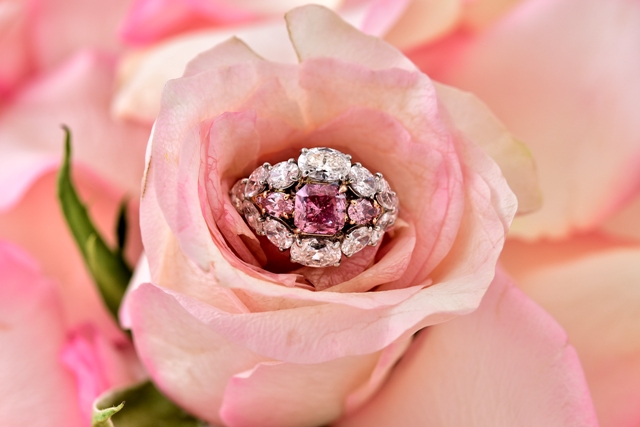 Luxury jewellery house Dhamani appointed exclusive Select Atelier for Argyle Pink Diamonds in ME  