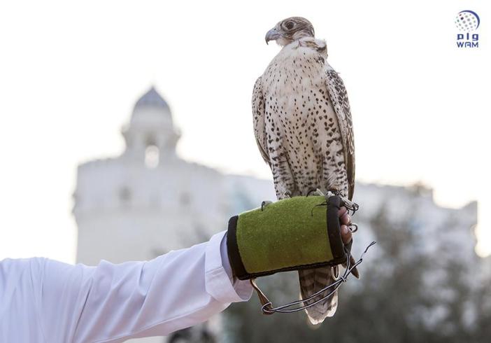 TCA Abu Dhabi welcomes five new countries to UNESCO&#039;s falconry file 