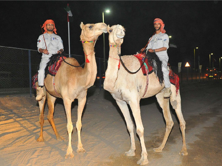 Abu Dhabi Police launches its very own Camel Patrol
