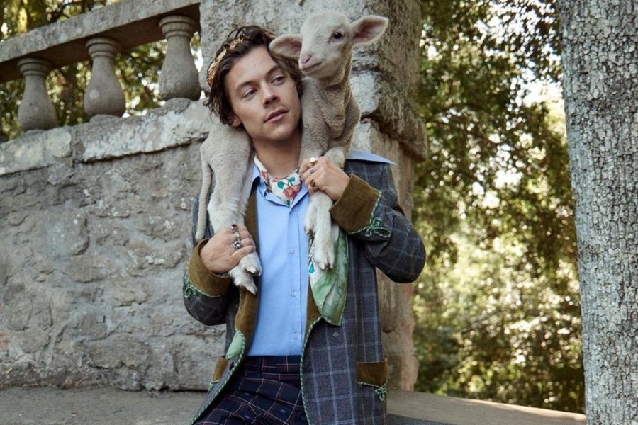 Harry Styles and a lamb and goat star in Gucci&#039;s cruise 2019 campaign 