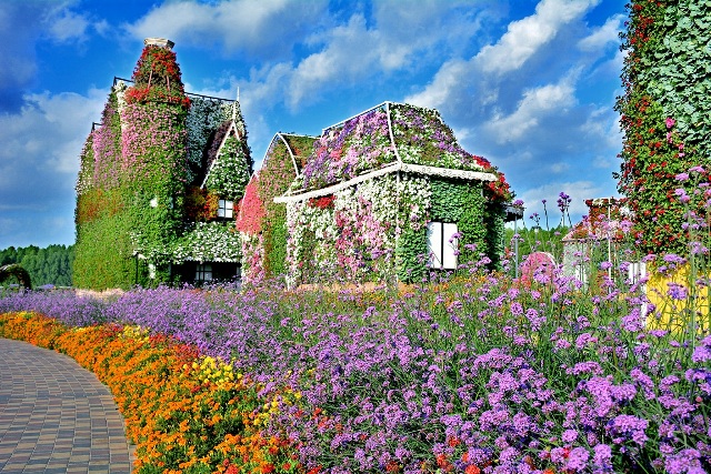 Dubai Miracle Garden blossoms in dramatic winter opening!