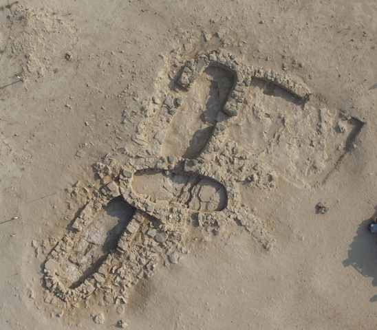 Archaeological excavations cast new light on Abu Dhabi&#039;s earliest inhabitants