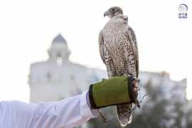 TCA Abu Dhabi welcomes five new countries to UNESCO&#039;s falconry file 