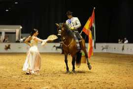 13th Dubai International Horse Fair returns 16th to 18th March at DWTC